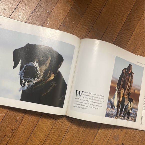 1995 Just Labs vintage hardcover book - Picture 16 of 17